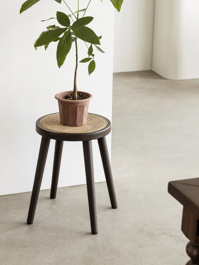 Natural Rattan Top Wood Stool, Round