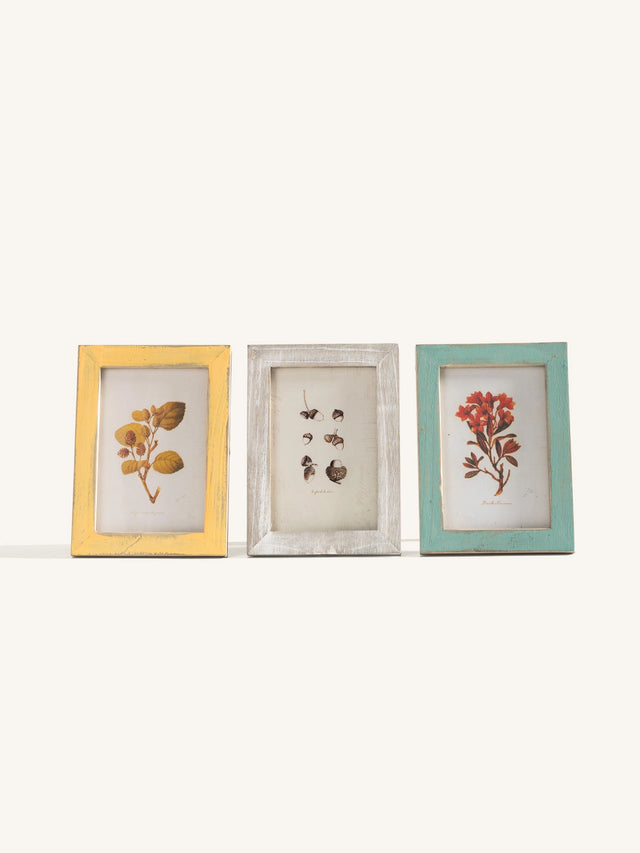 Botanical Antiqued Frames