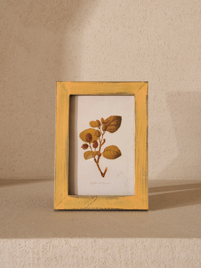 Botanical Antiqued Frames