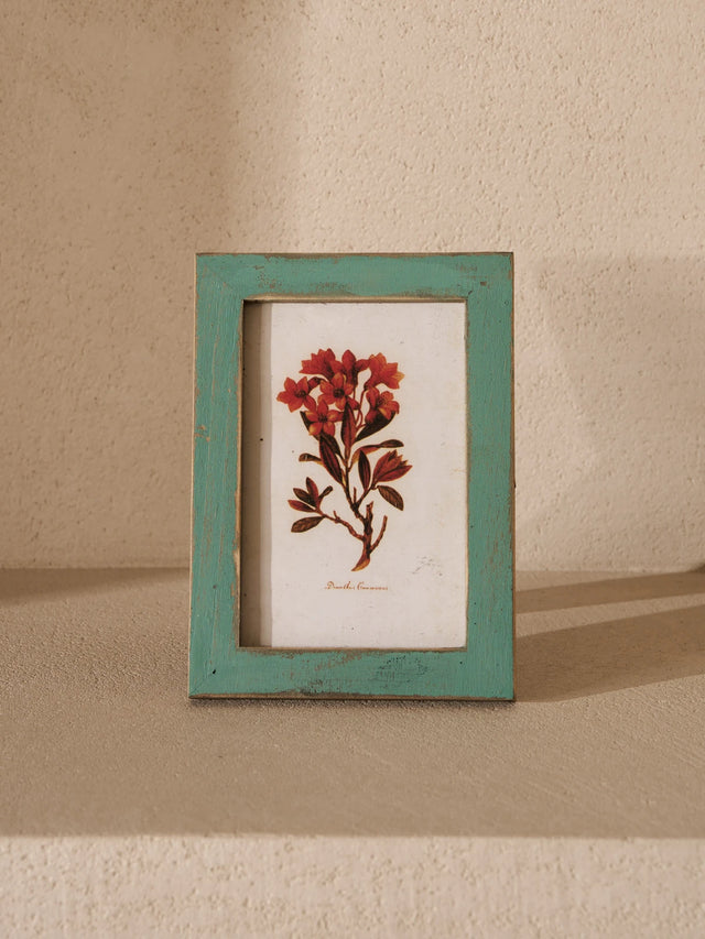 Botanical Antiqued Frames