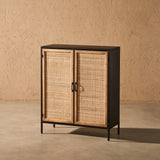 Ravina 31"x38" Accent Cabinet