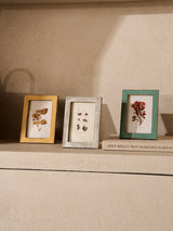 Botanical Antiqued Frames