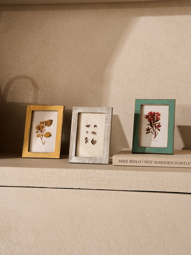 Botanical Antiqued Frames