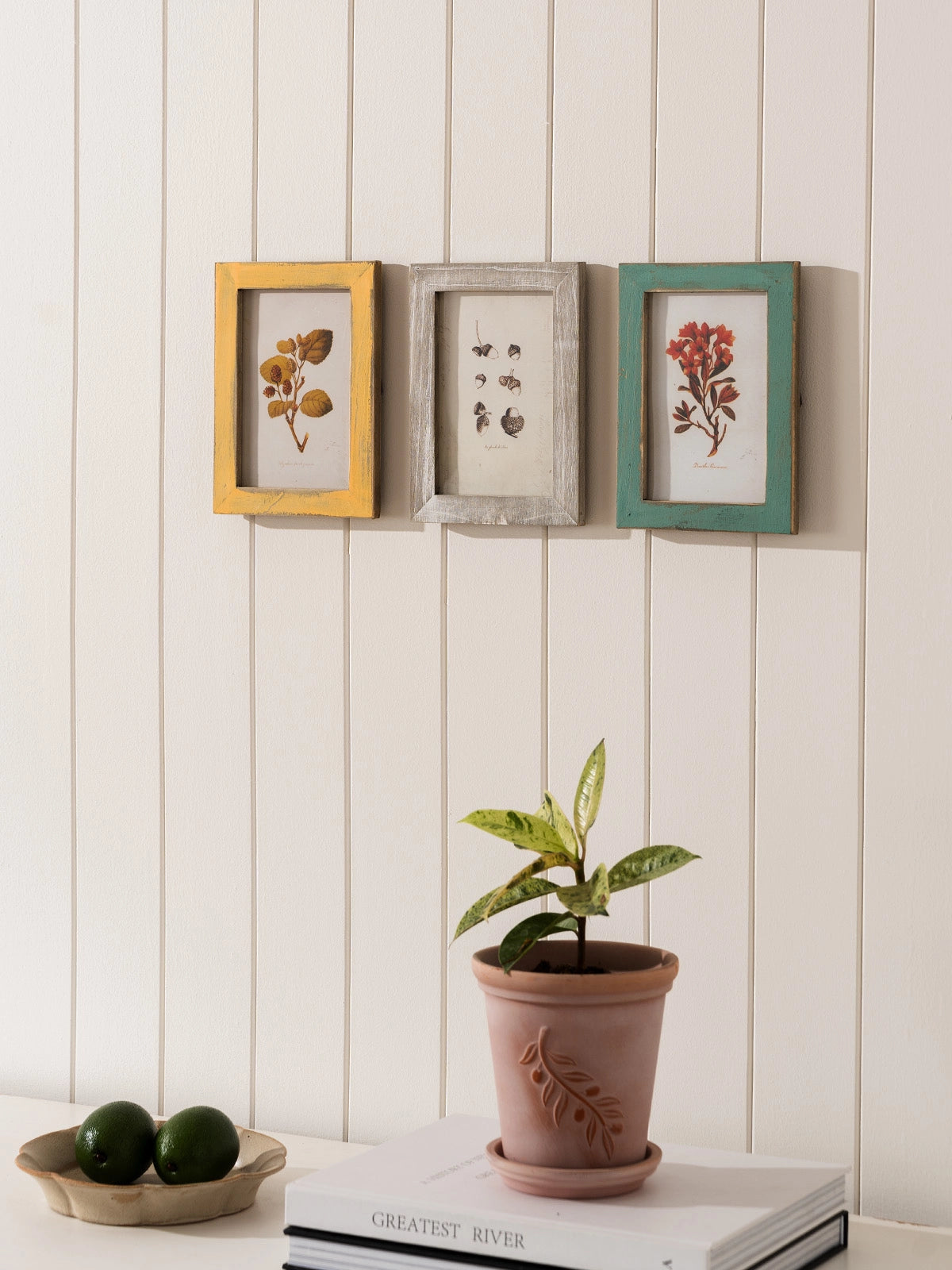Botanical Antiqued Frames