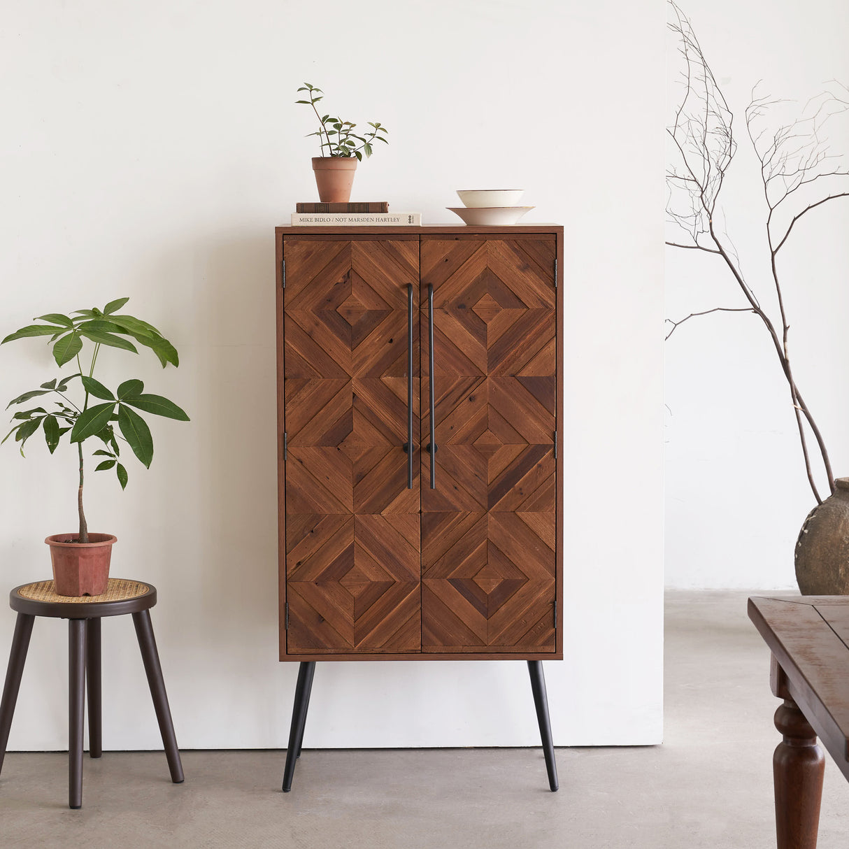 50" Tall Accent Cabinet with Handcrafted Reclaimed Wood Doors