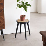 Natural Rattan Top Wood Stool, Round