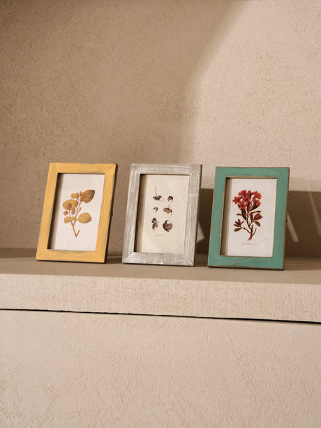 Botanical Antiqued Frames