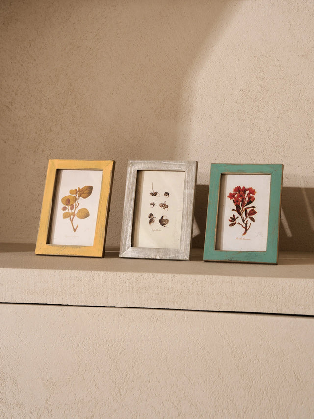 Botanical Antiqued Frames