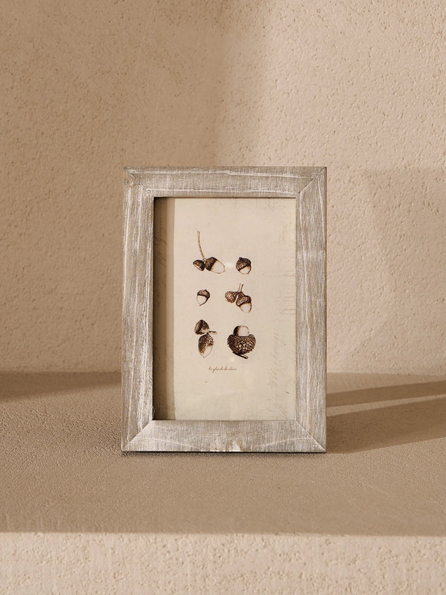 Botanical Antiqued Frames