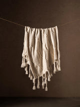 Albion 59" x 47" Fringe Throw