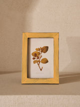 Botanical Antiqued Frames