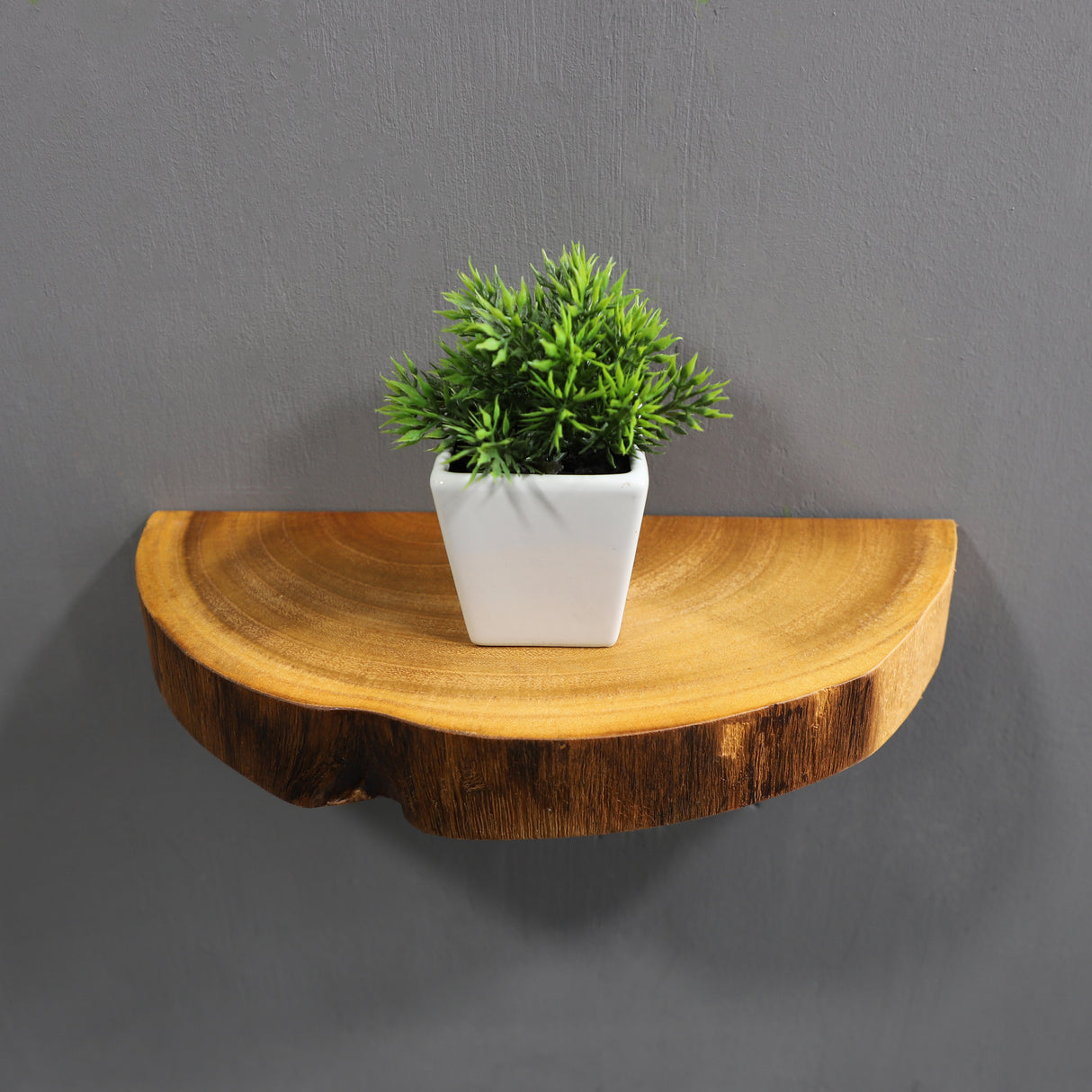 Small Live Edge Floating Wall Shelf with Paulownia Wood